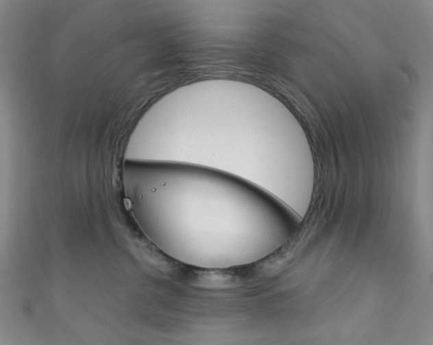 X0000111830380200907231027