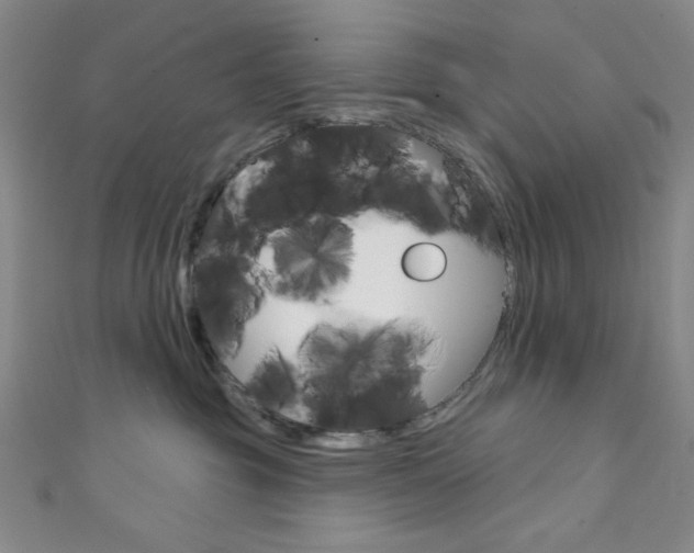 X0000111830381200907231027