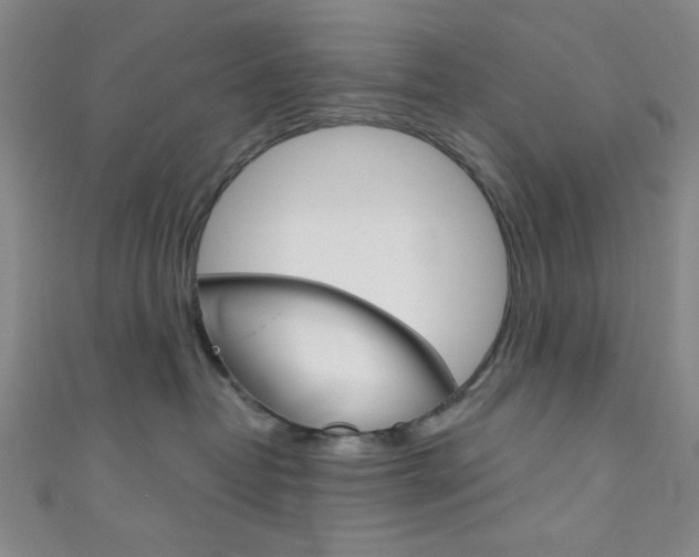 X0000111830382200907231027