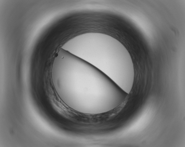 X0000111830383200907231027