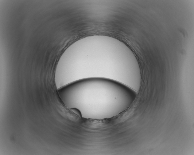X0000111830384200907231027