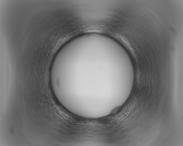 X0000111830385200907231027