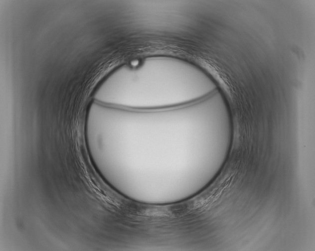 X0000111830386200907231027