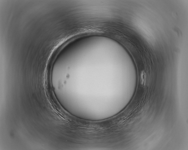 X0000111830388200907231027
