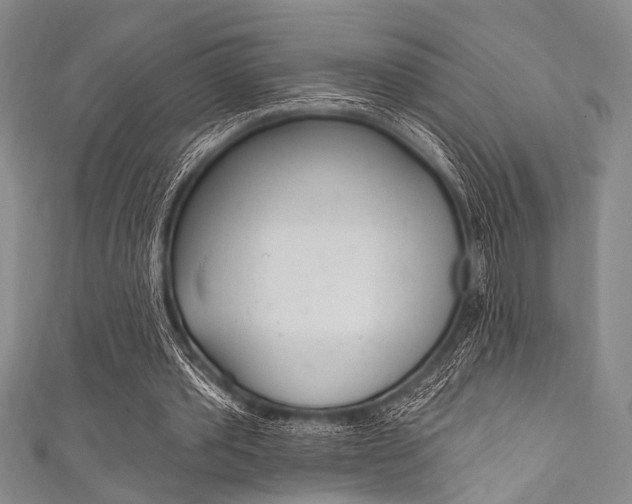 X0000111830389200907231027