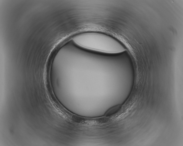 X0000111830391200907231027