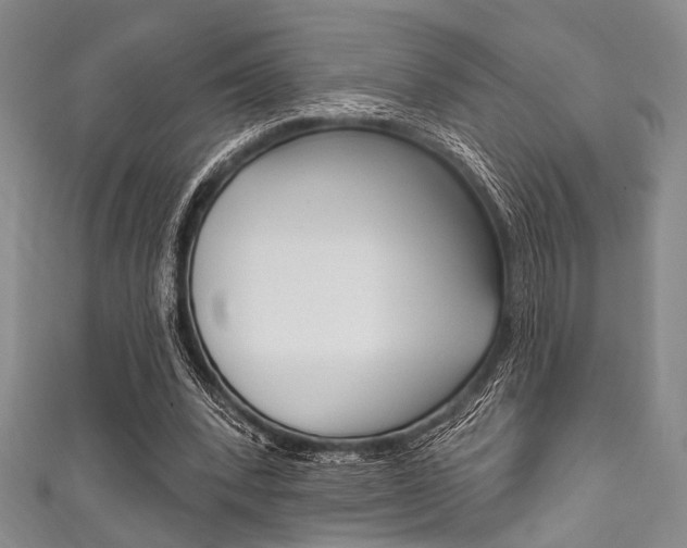 X0000111830392200907231027