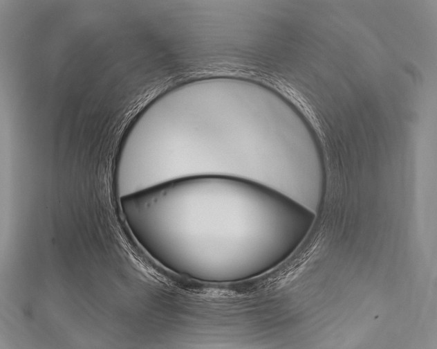 X0000111830393200907231027