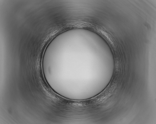 X0000111830394200907231027
