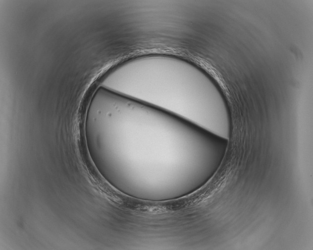 X0000111830395200907231027