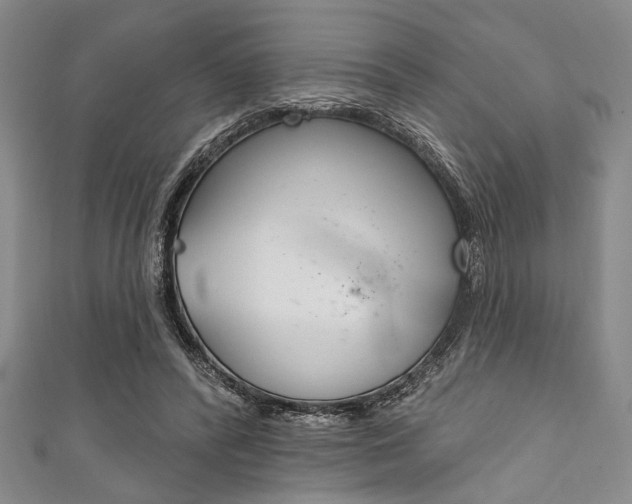 X0000111830400200907231027