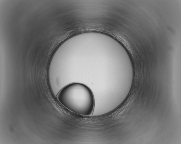 X0000111830401200907231027