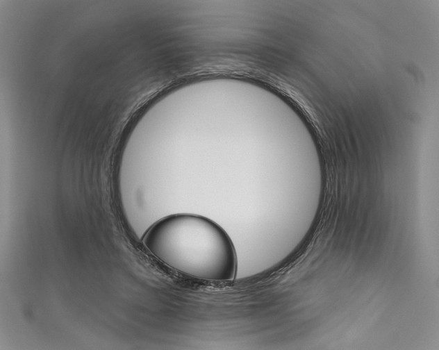 X0000111830403200907231026