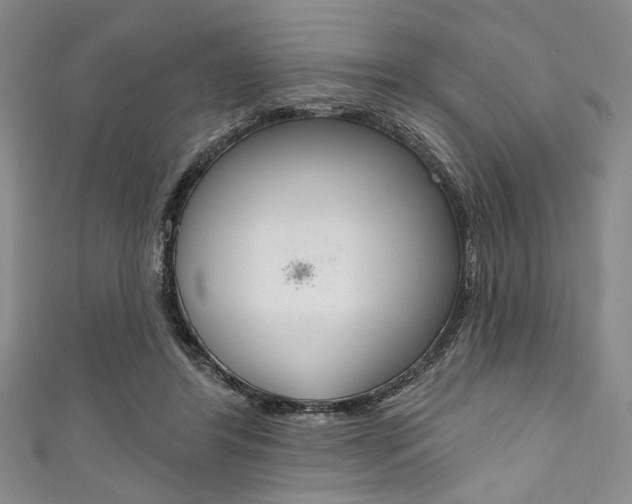 X0000111830404200907231026