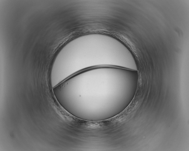 X0000111830405200907231026