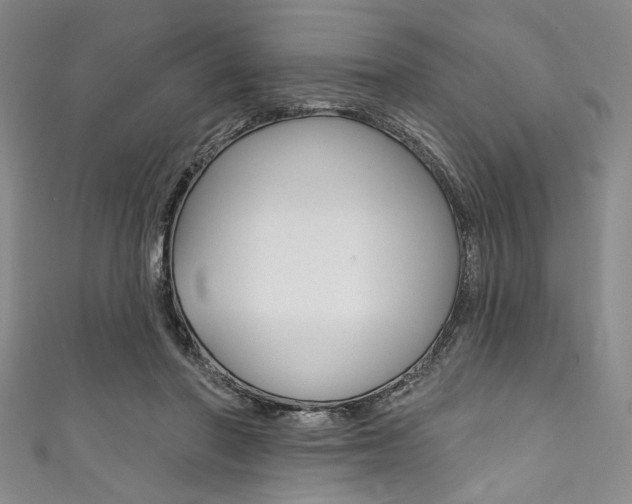 X0000111830406200907231026