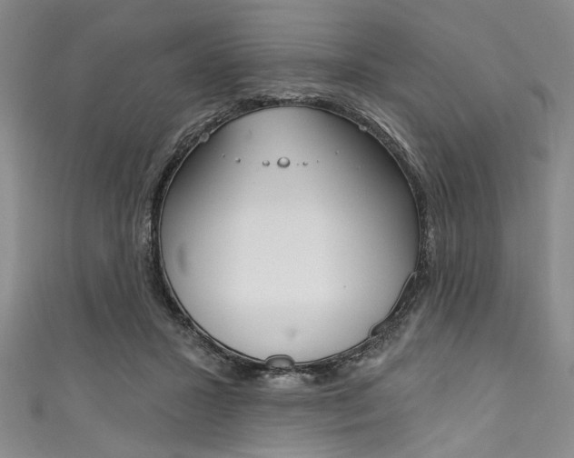 X0000111830407200907231026