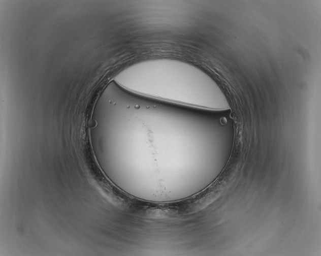 X0000111830408200907231026