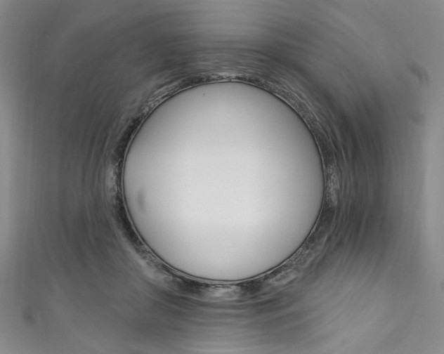 X0000111830410200907231026