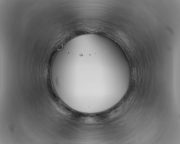 X0000111830412200907231026