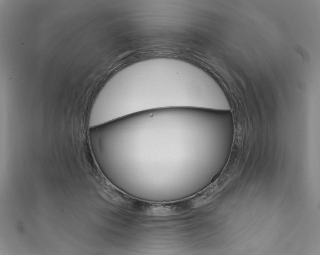 X0000111830413200907231026
