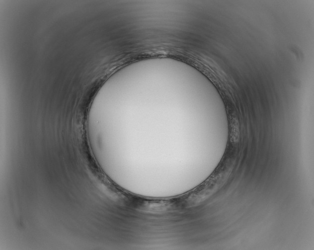 X0000111830414200907231026