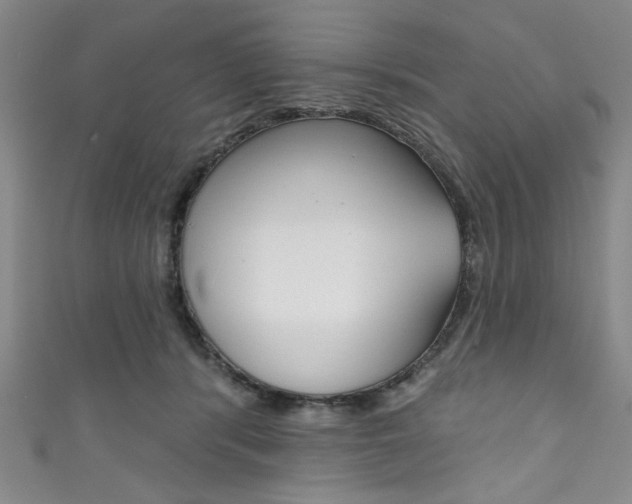 X0000111830416200907231026