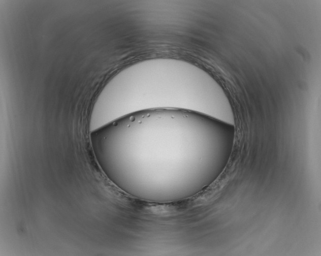 X0000111830417200907231026