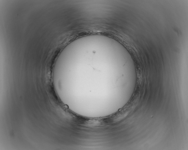 X0000111830418200907231026