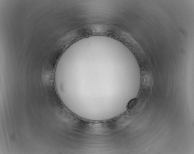 X0000111830419200907231026