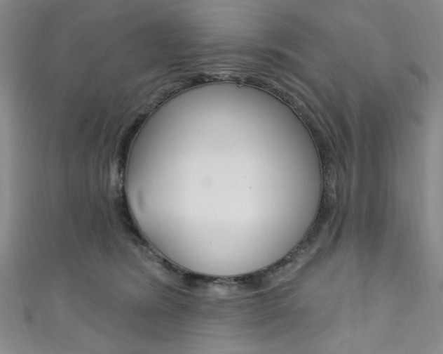 X0000111830420200907231026
