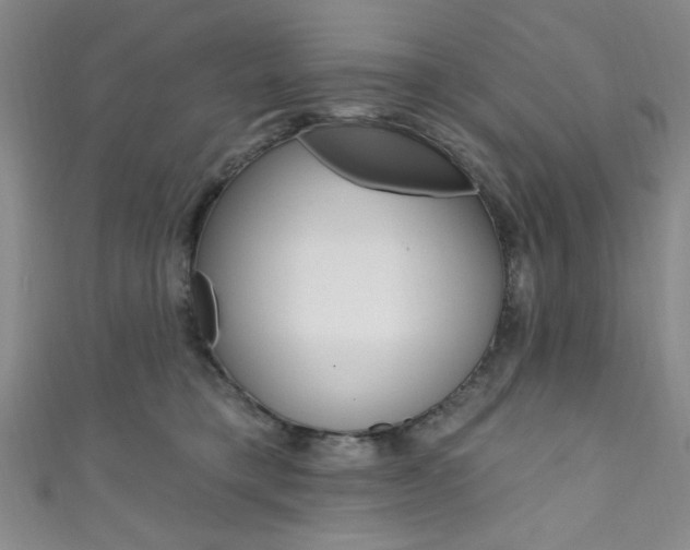 X0000111830421200907231026