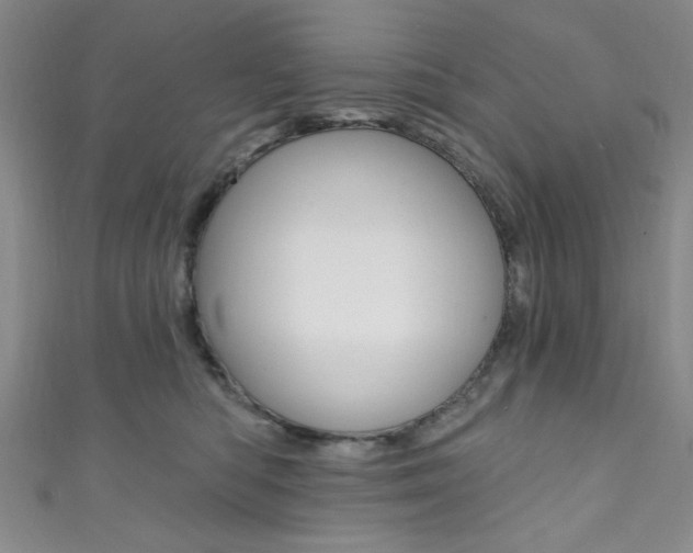 X0000111830422200907231026