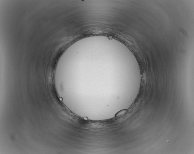 X0000111830423200907231026
