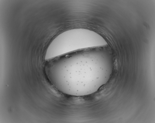 X0000111830424200907231026
