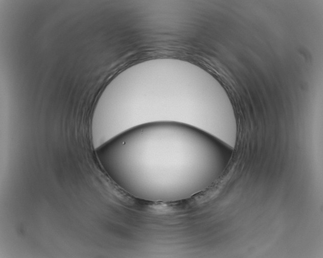X0000111830425200907231026