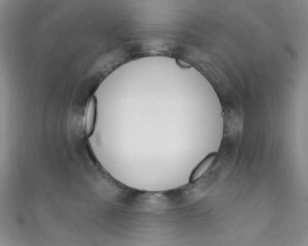 X0000111830427200907231026