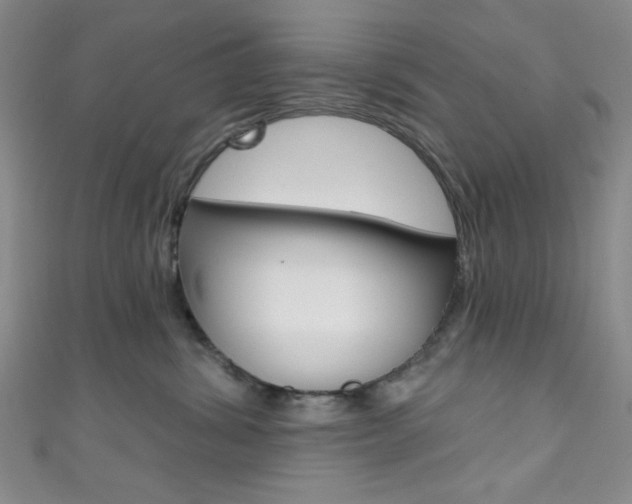 X0000111830428200907231026