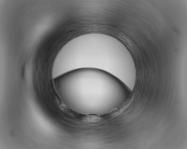 X0000111830429200907231026