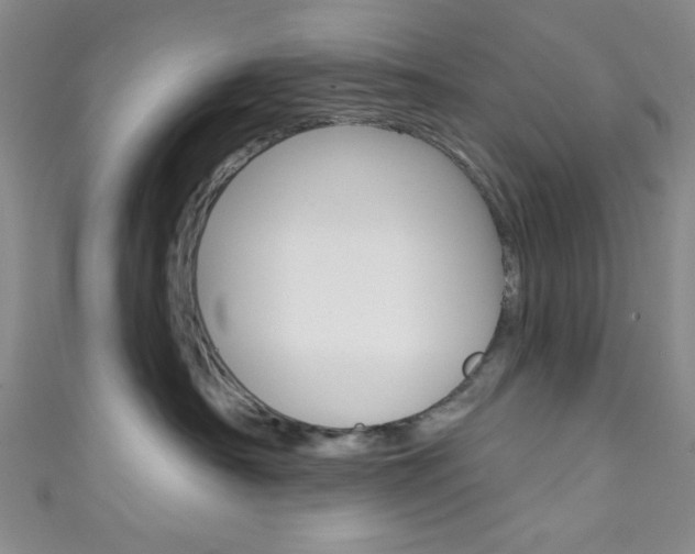 X0000111830430200907231026