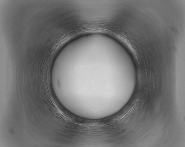 X0000111830433200907231025