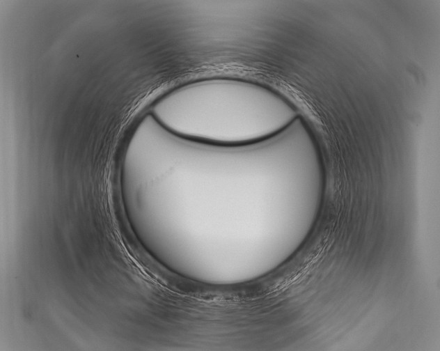X0000111830434200907231025