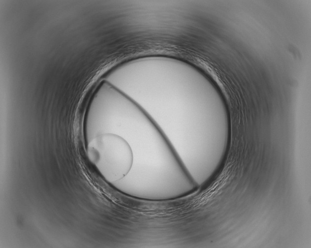 X0000111830435200907231025