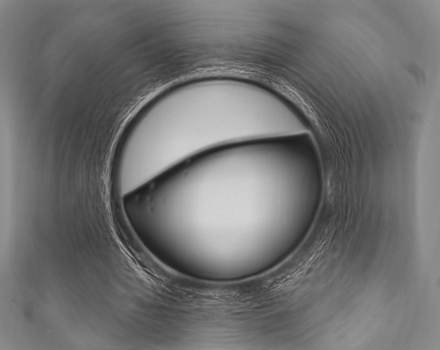 X0000111830436200907231025