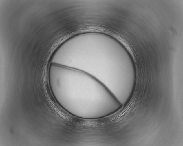 X0000111830437200907231025