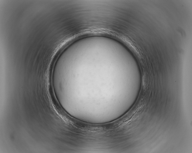 X0000111830438200907231025