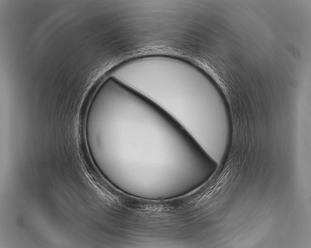 X0000111830439200907231025
