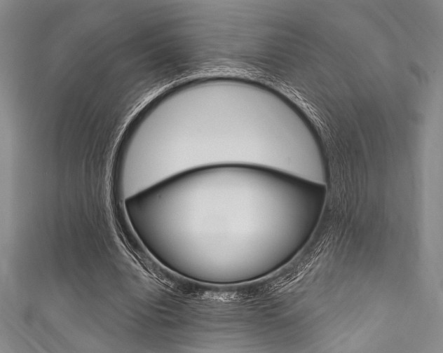X0000111830440200907231025
