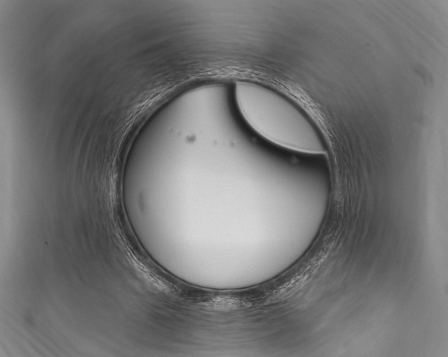 X0000111830441200907231025