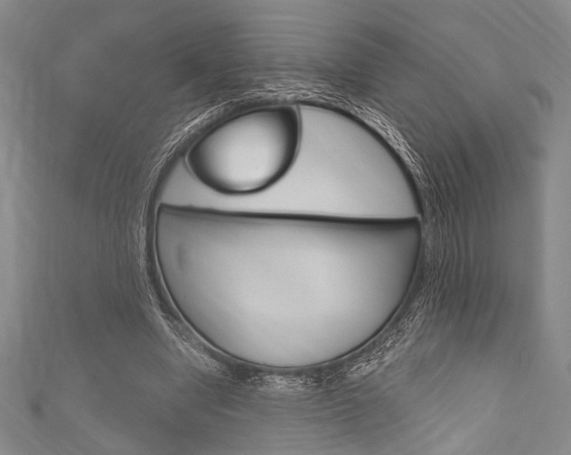 X0000111830442200907231025